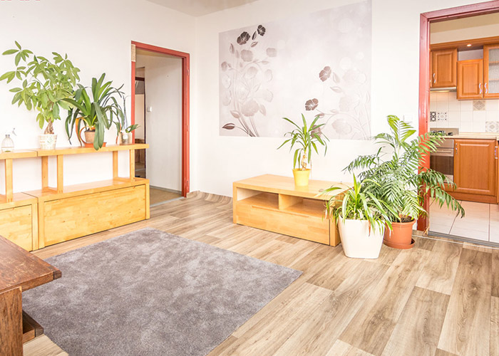 ciboch prodej bytu 31 80 m2